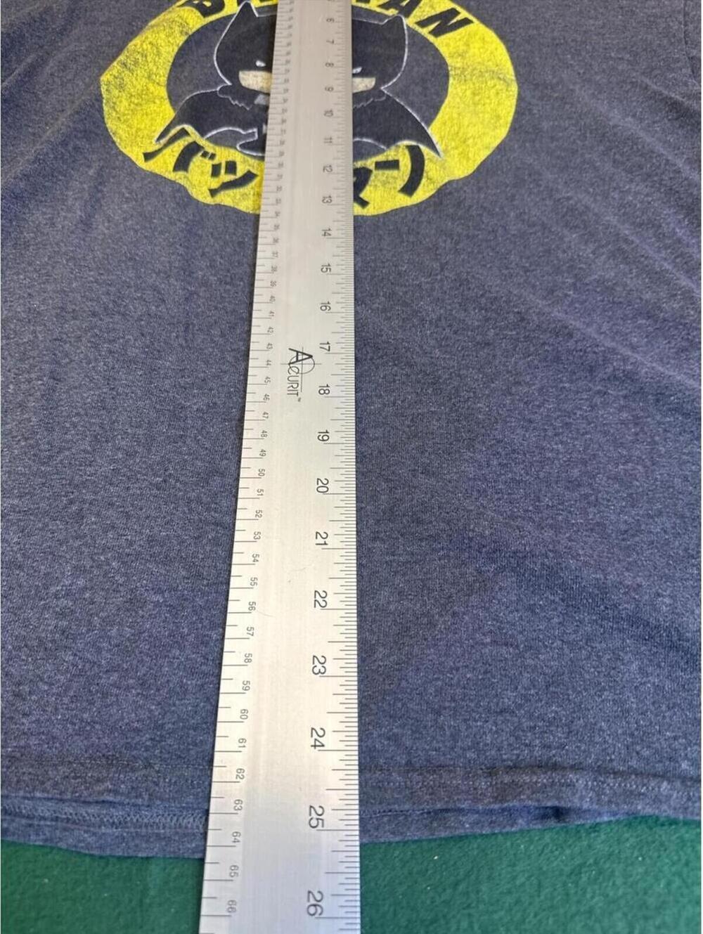 Batman Japanese Logo Graphic T-Shirt Gray Men’s XL Anime Style DC Comics Tee - Picture 5 of 8